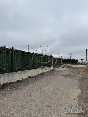 image_6