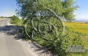 image_3