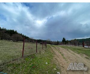 image_9