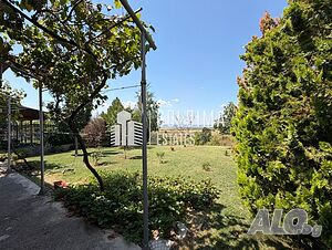 image_15