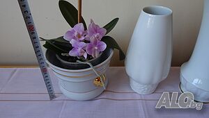 Автентична ваза - 100 годишнина на Bareuther Waldsassen Бавария