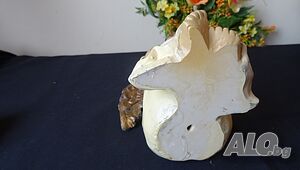 image_11