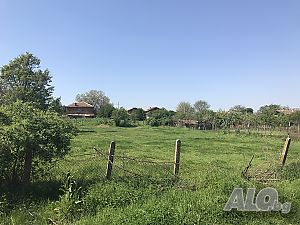 image_6