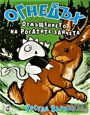 image_11