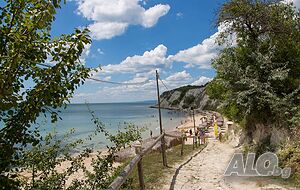image_25