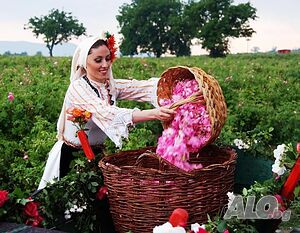 Празник на Розата в Град Казанлък