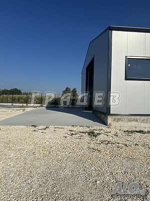 image_3