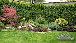 image_4