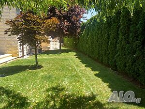 image_6