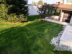 image_8