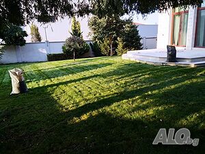 image_11