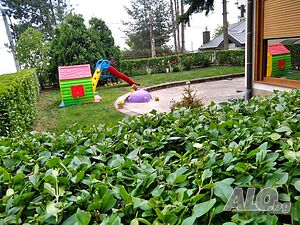 image_13