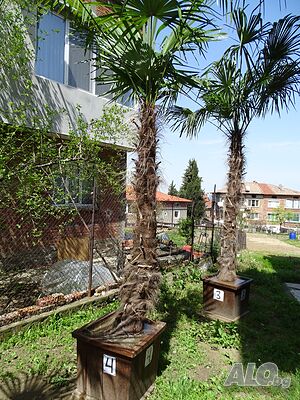 image_4