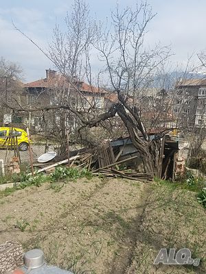 image_7