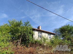 image_8