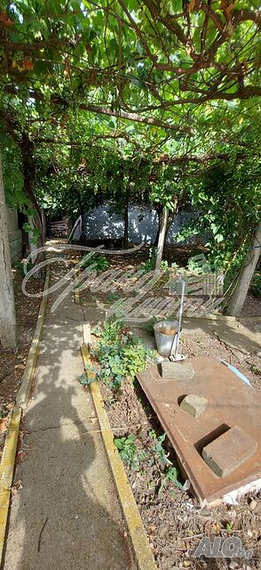image_12