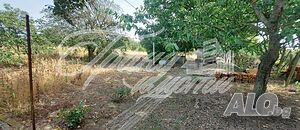 image_13