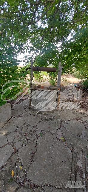 image_11