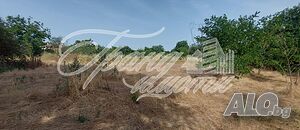 image_14