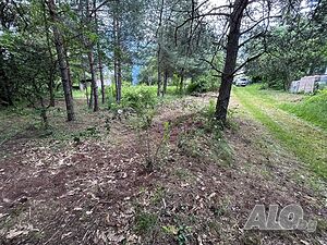 image_6