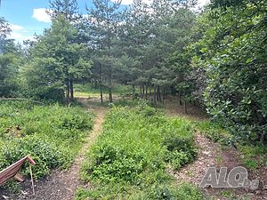 image_7