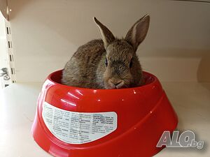 image_6