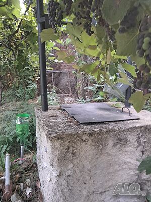 image_10