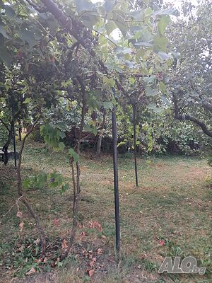 image_12