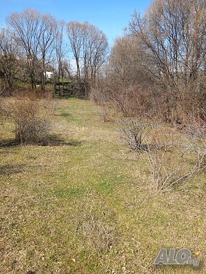 image_8