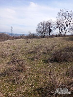 image_9