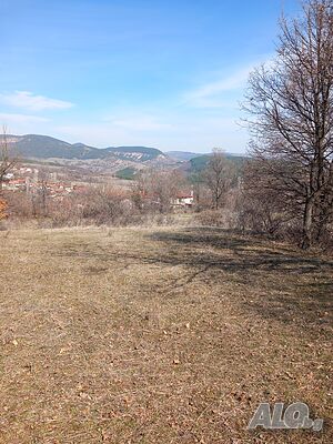 image_2