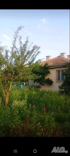 image_7