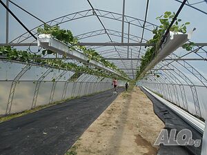 image_2