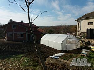 image_9