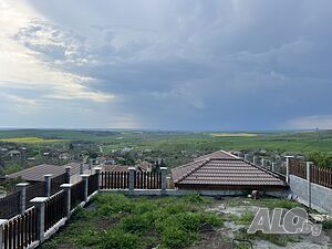 image_6