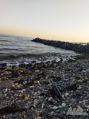 image_6