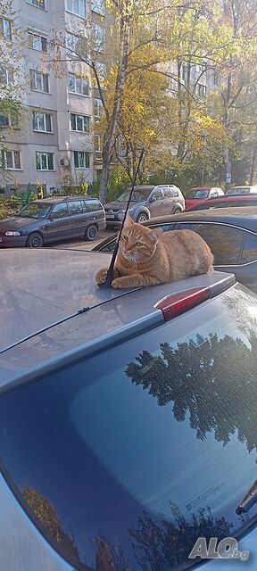 Мебели Разтоварване