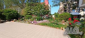image_14