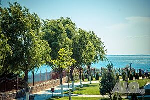 image_15