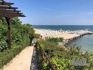 image_12