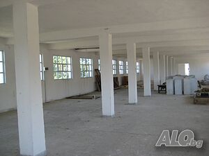 image_6