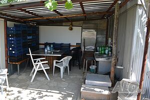 image_15