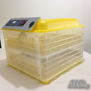 image_2