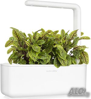image_3