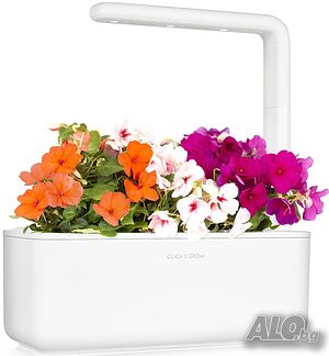 image_4