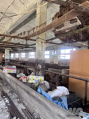 image_6