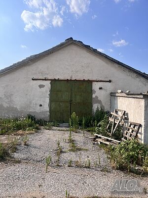 image_7