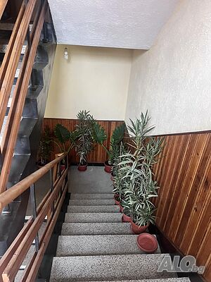 image_9