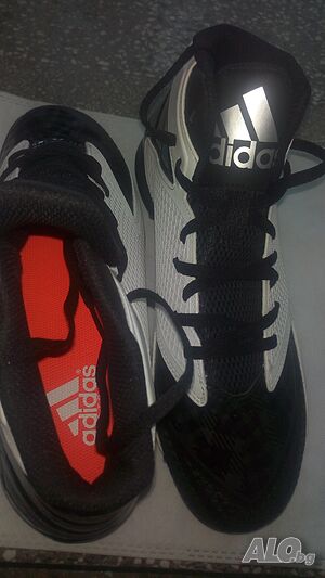 image_2