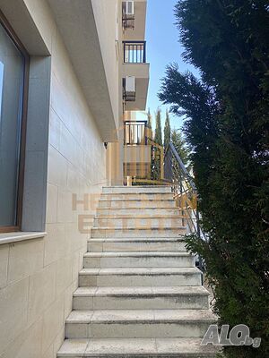 image_7